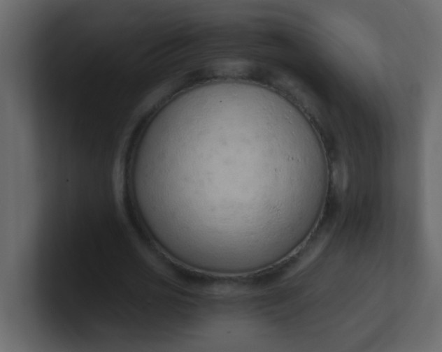 X0000101110725200807101508