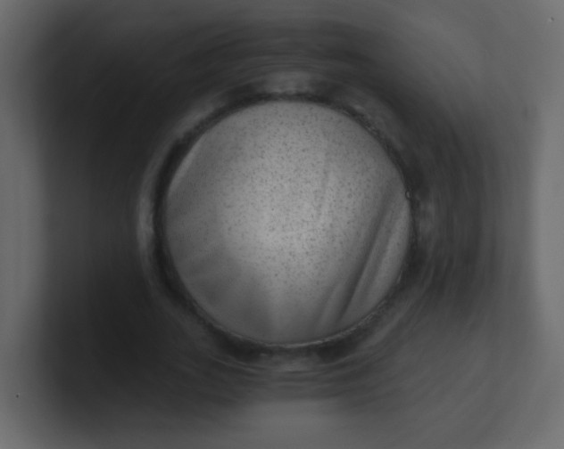 X0000101110727200807101508