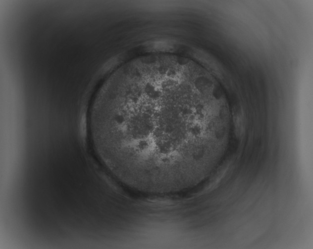 X0000101110729200807101508