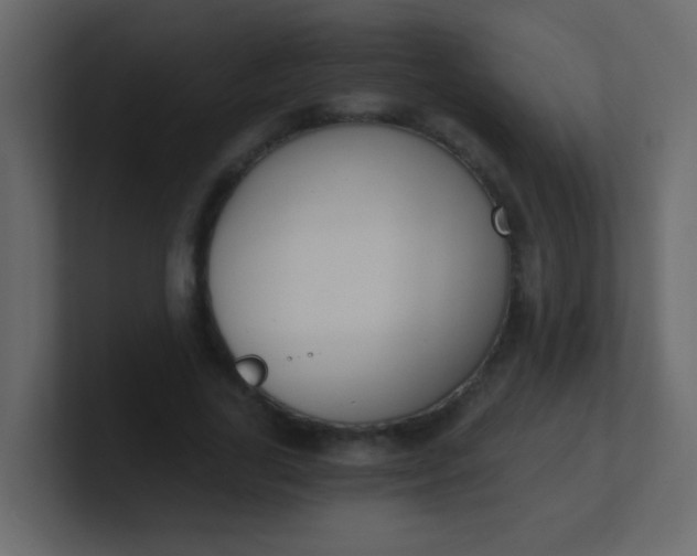 X0000101110731200807101508