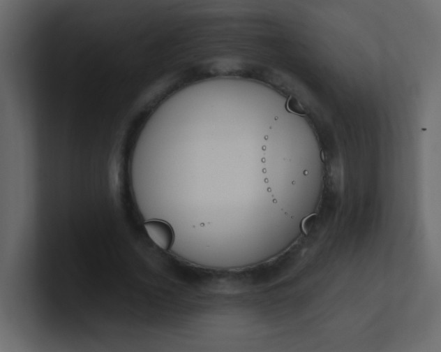 X0000101110732200807101508