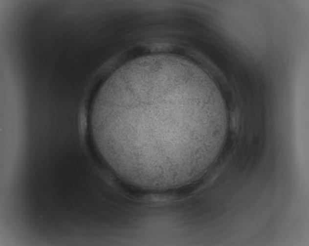 X0000101110733200807101508
