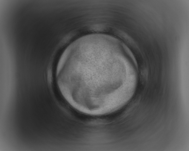 X0000101110734200807101508