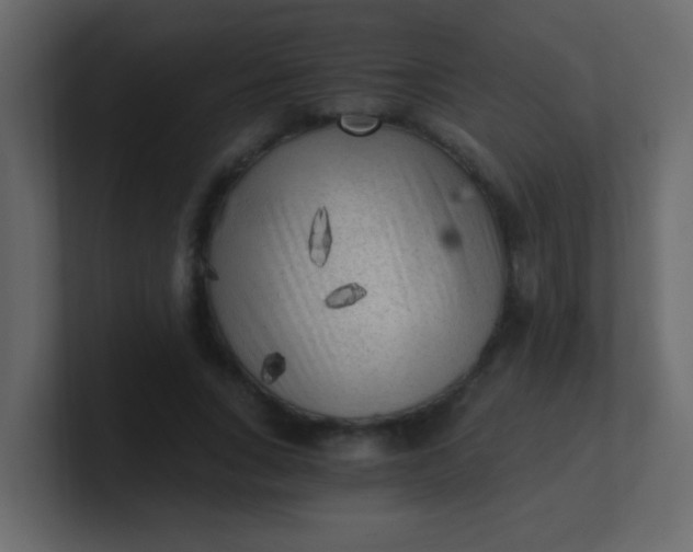 X0000101110735200807101508
