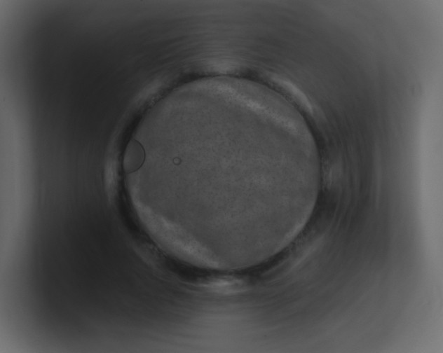 X0000101110736200807101508