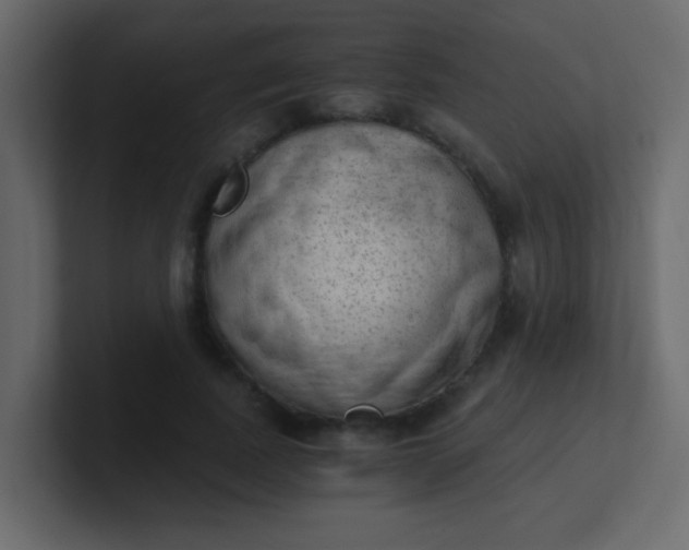 X0000101110739200807101508