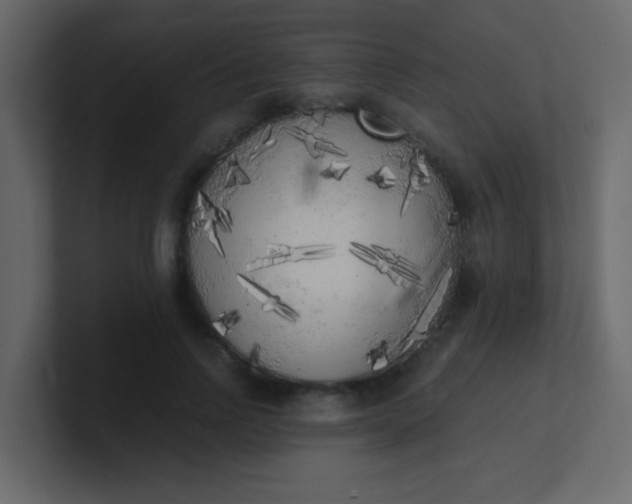 X0000101110742200807101509
