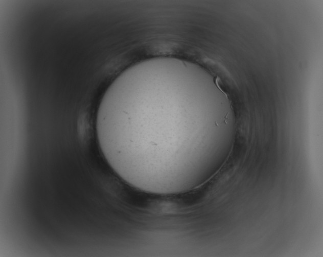X0000101110743200807101509