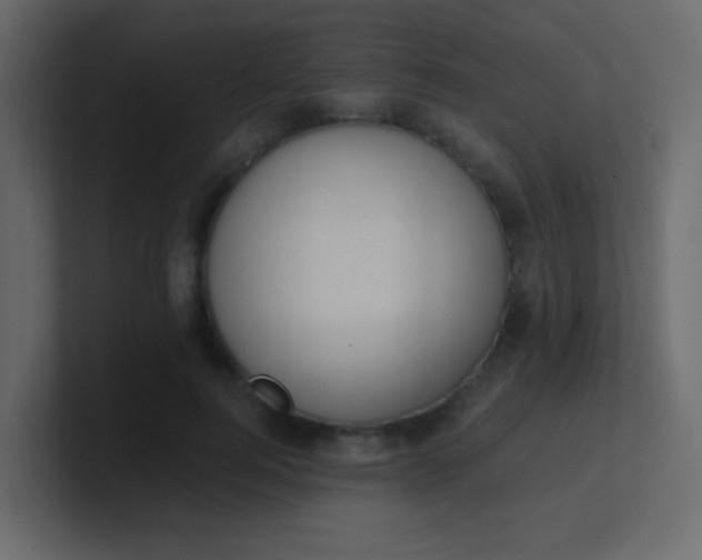 X0000101110744200807101509