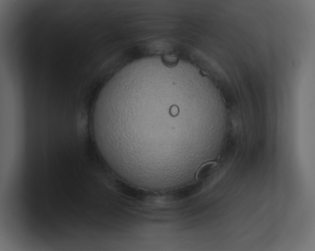X0000101110745200807101509