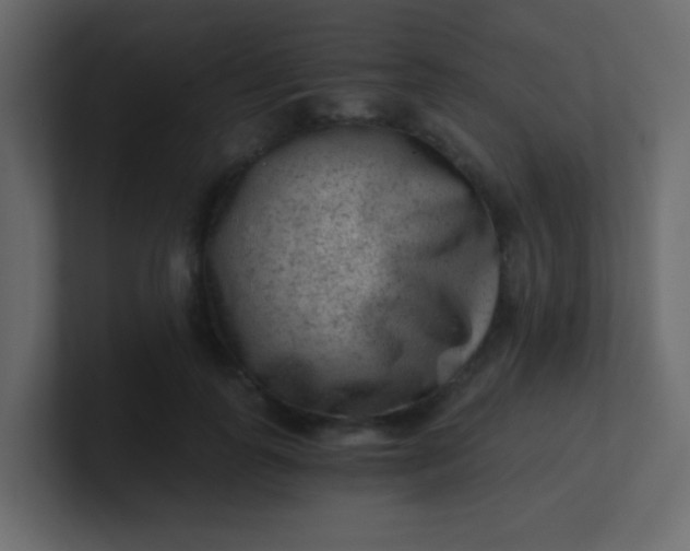 X0000101110747200807101509