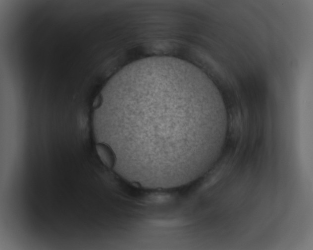 X0000101110749200807101509