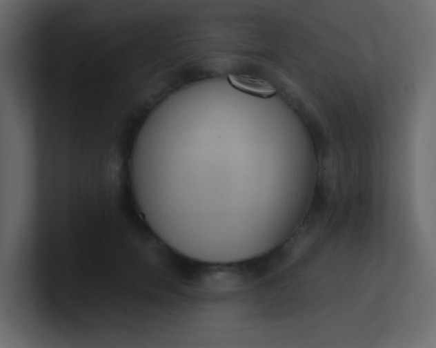 X0000101110750200807101509