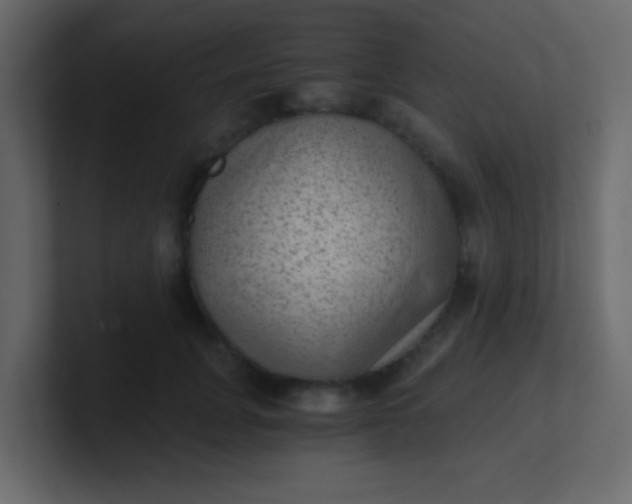 X0000101110751200807101509