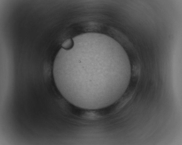 X0000101110753200807101509