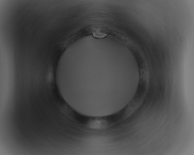 X0000101110754200807101509