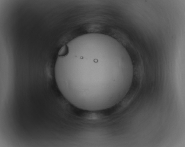 X0000101110755200807101509