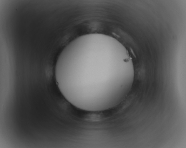 X0000101110756200807101509