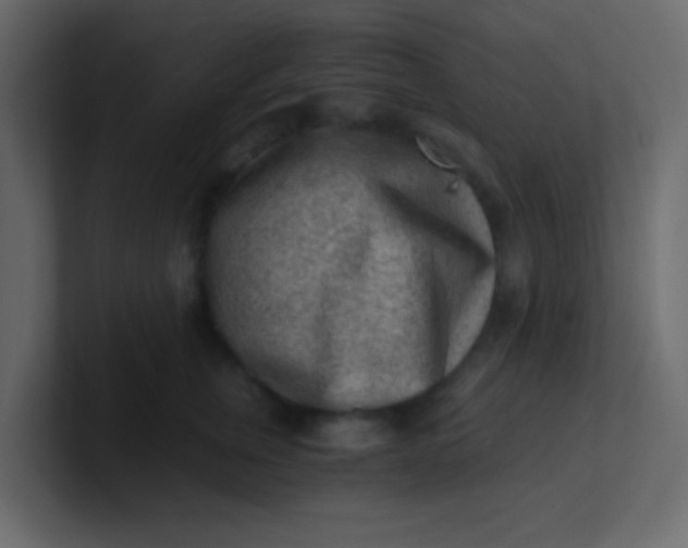 X0000101110759200807101509