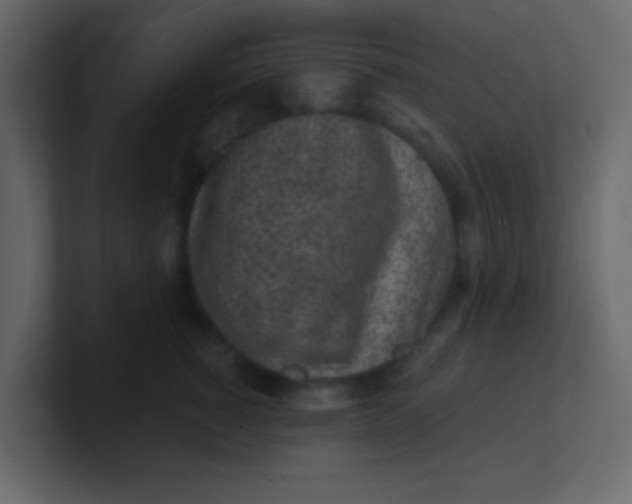 X0000101110760200807101509