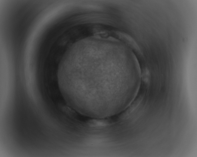 X0000101110763200807101509