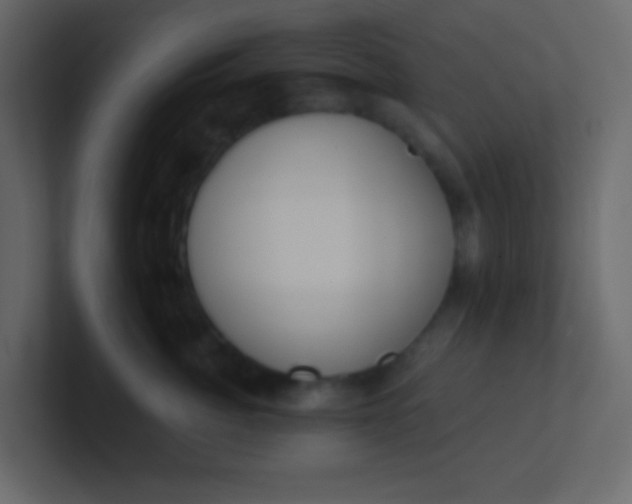 X0000101110764200807101509