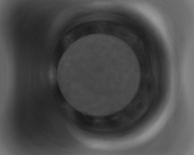 X0000101110766200807101509