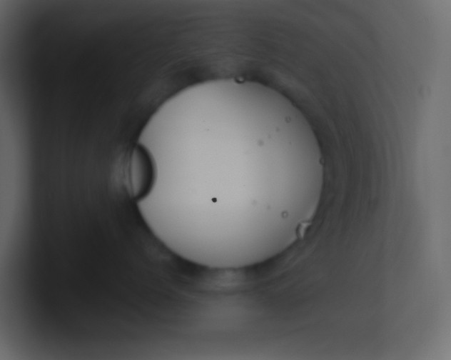 X0000101110768200807101509