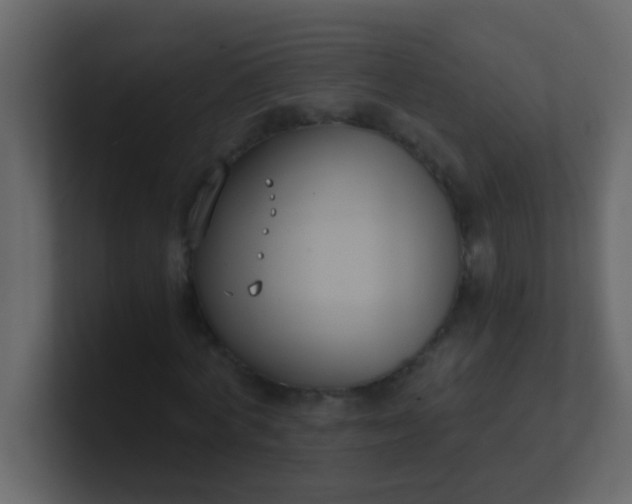 X0000101110772200807101508
