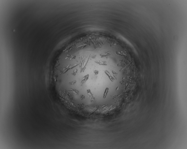 X0000101110775200807101508