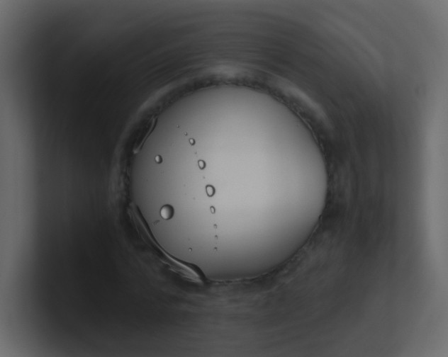 X0000101110776200807101508