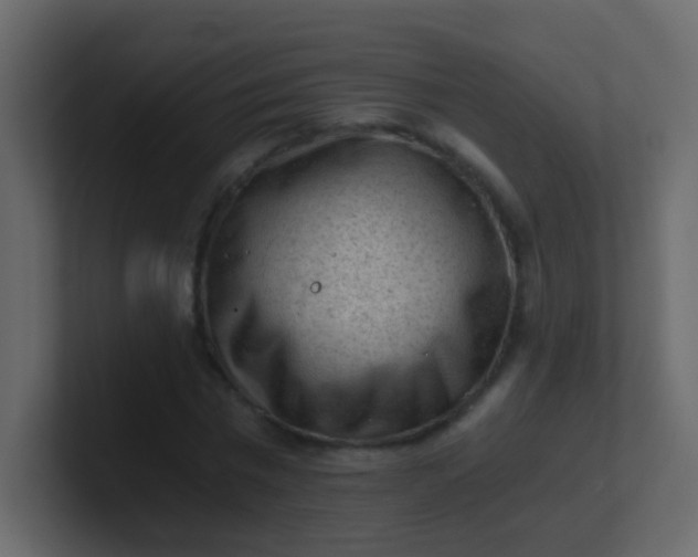 X0000101110777200807101508
