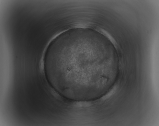 X0000101110779200807101508