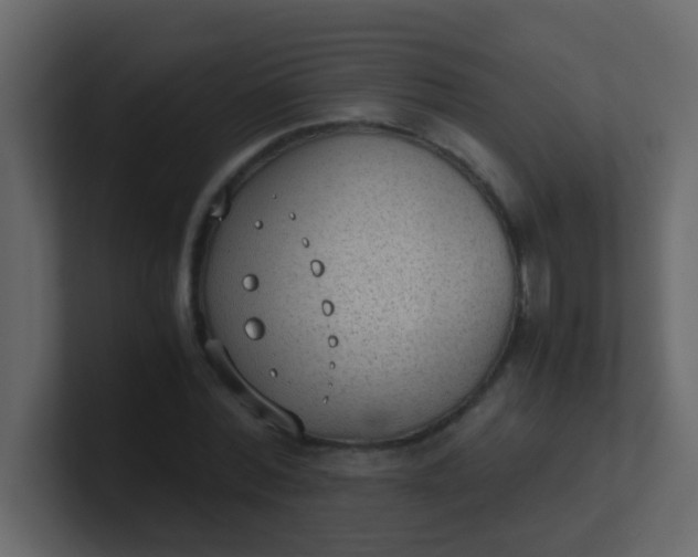 X0000101110780200807101508