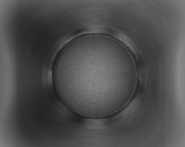 X0000101110781200807101508