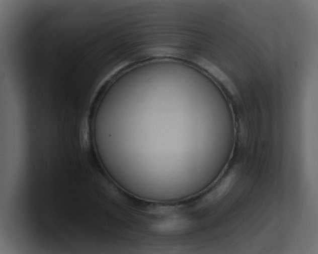 X0000101110782200807101508