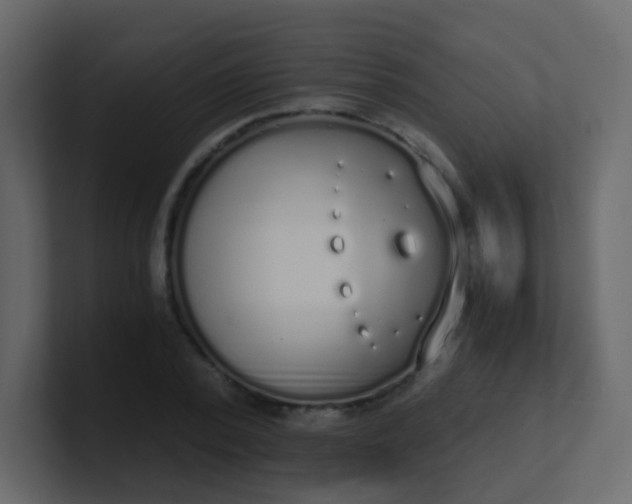 X0000101110784200807101508