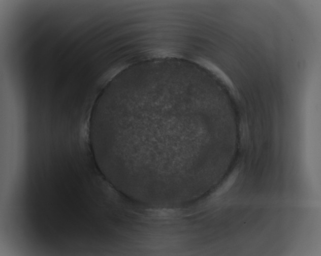 X0000101110785200807101508