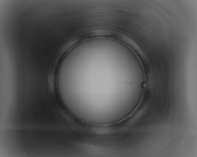 X0000101110786200807101508