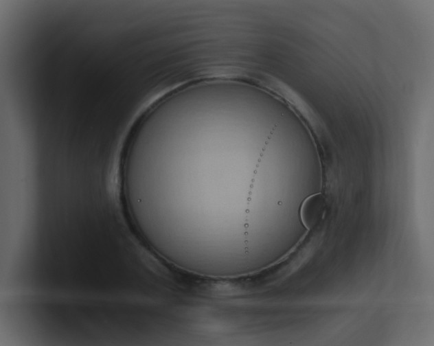 X0000101110787200807101508