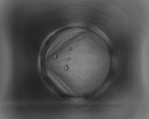 X0000101110788200807101508