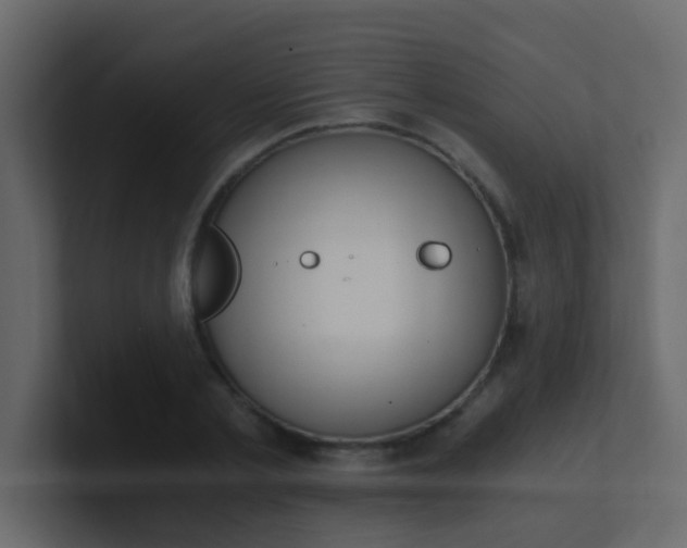X0000101110789200807101508