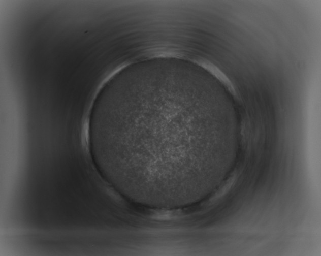 X0000101110790200807101508