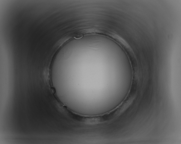X0000101110793200807101508