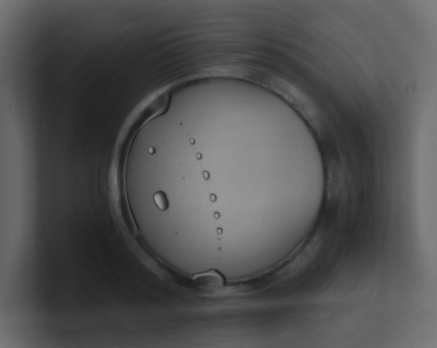 X0000101110796200807101508