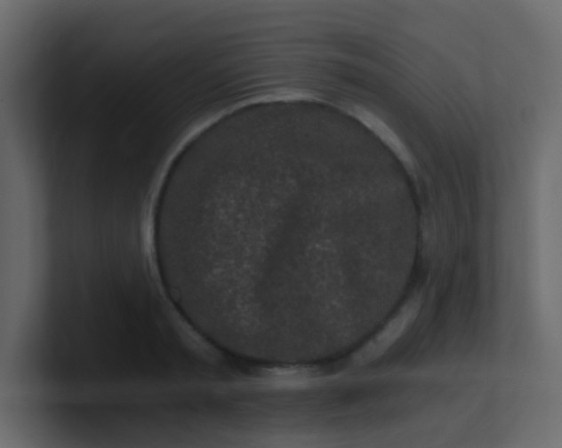 X0000101110797200807101508