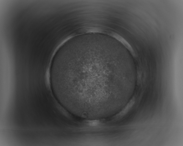 X0000101110798200807101508