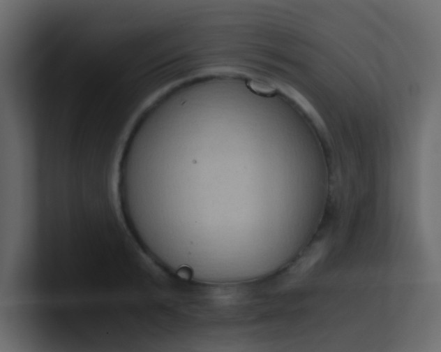 X0000101110799200807101508