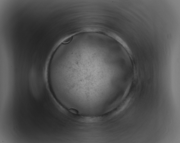 X0000101110803200807101508