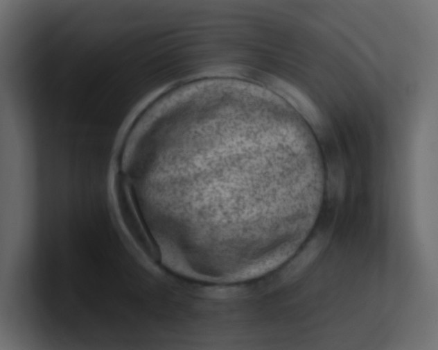 X0000101110804200807101508